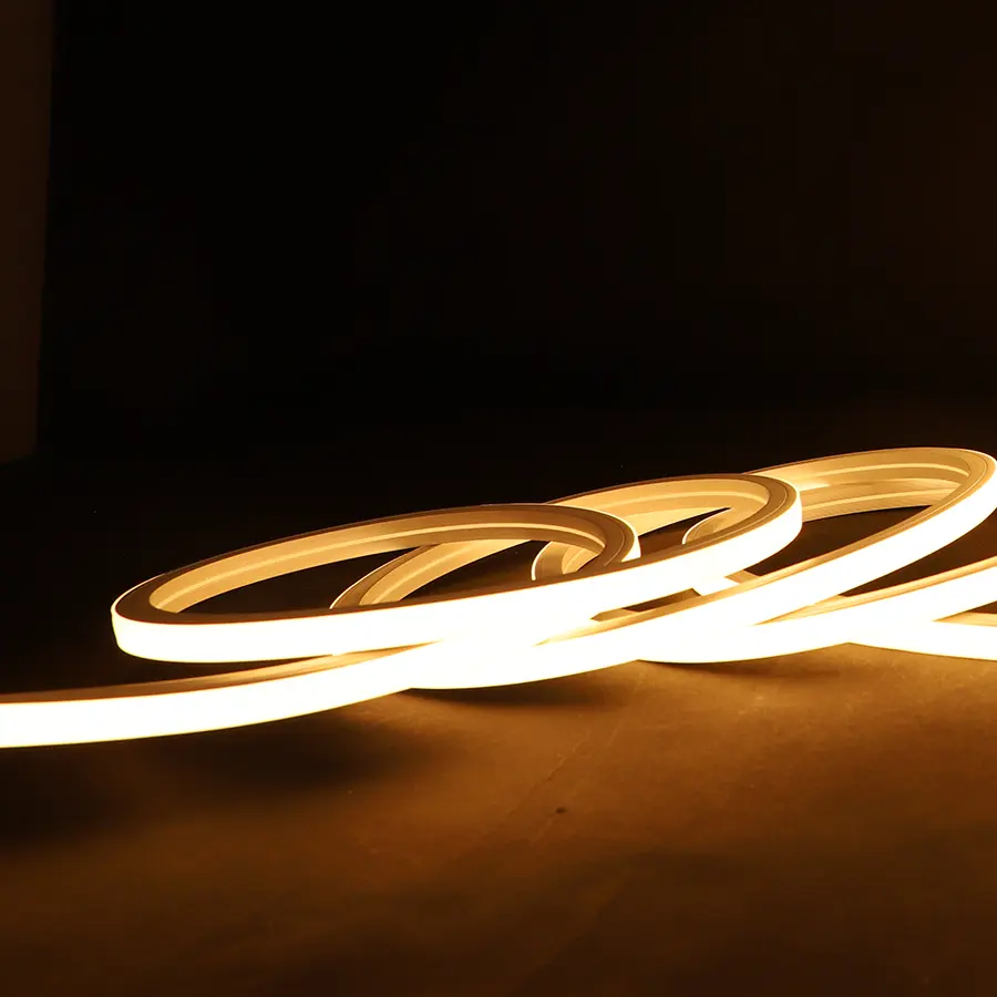 Led dây Neon ngoài trời