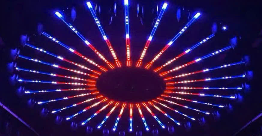 Led dây matrix